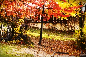 herbstliche Impressionen